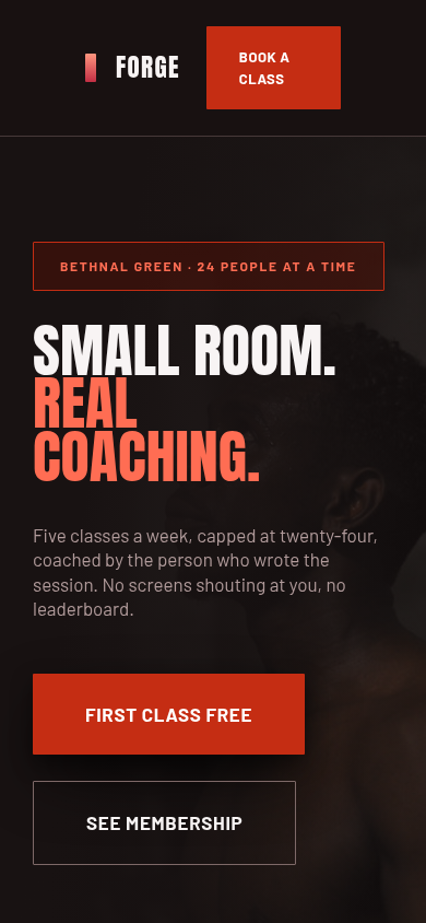 The same page at the mobile viewport