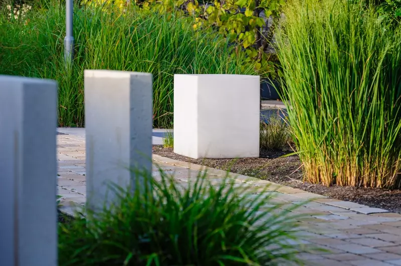 Concrete plinths and ornamental grasses