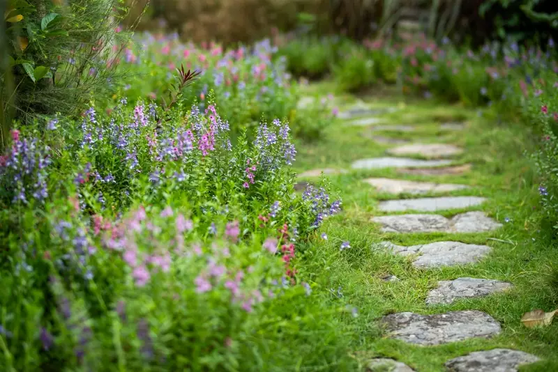Stepping stones through meadow planting