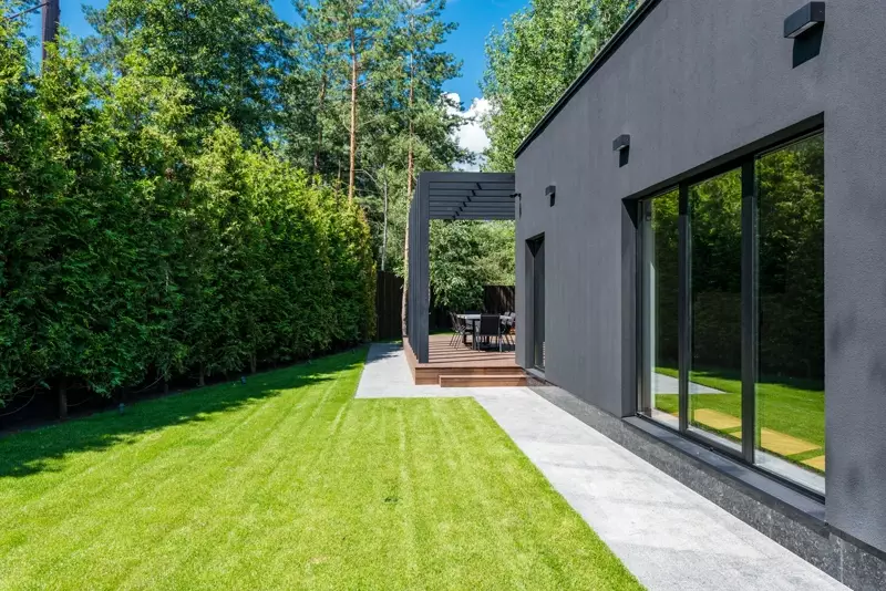 Lawn and screening hedge